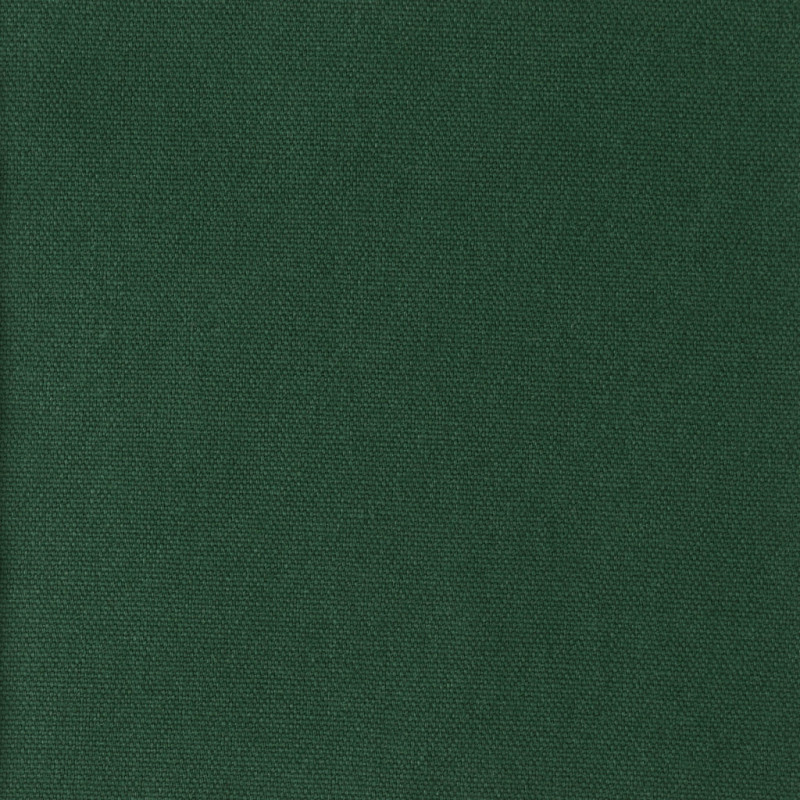 Half Panama - Canvas Empire